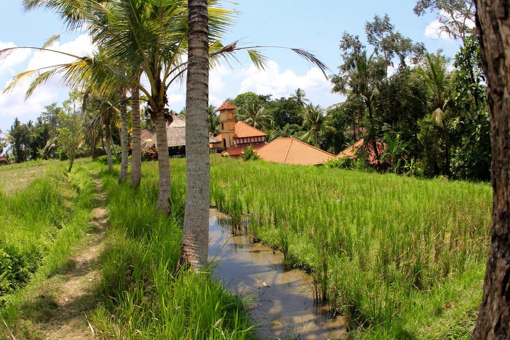 Hotel Villa Ubud Ngoại thất bức ảnh
